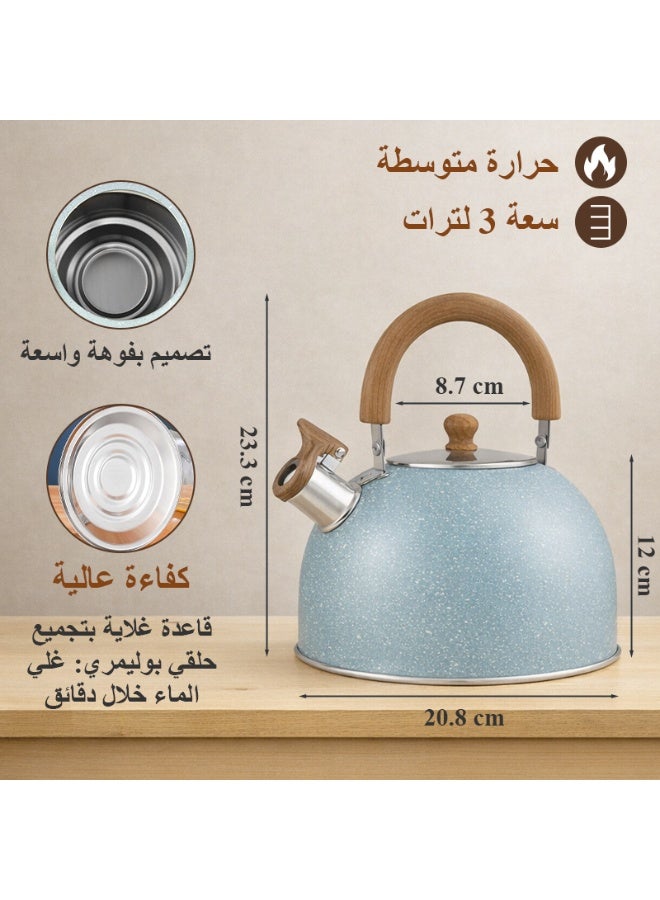 فلوكسهوم إبريق شاي بصفّارة يعمل على الموقد، مزوّد بمقبض مقاوم للحرارة، مصنوع من الستانلس ستيل المخصّص للطعام، مناسب للقهوة والشاي، سعة 3000 مل - Image 3